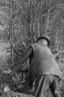 Hedging Trailer