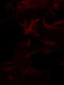 Hellspawn Trailer