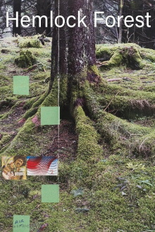 Hemlock Forest Trailer