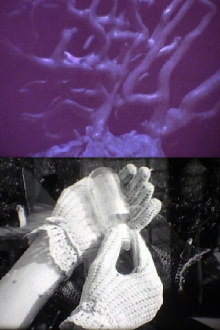 Her* Hands and His Forms Trailer