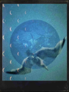 Her Plot of Blue Sky Trailer
