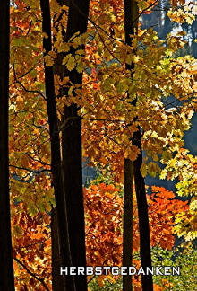 Herbstgedanken Trailer
