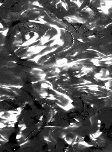 Herione: Deo Trailer