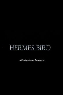 Hermes Bird Trailer