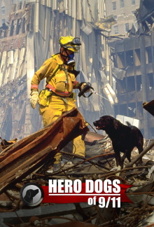 Hero Dogs Of 9/11 Trailer