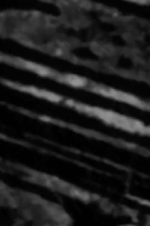 hexagram Trailer