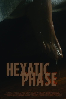 Hexatic Phase Trailer