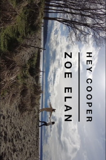 Hey Cooper Trailer