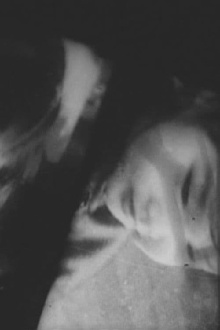 Hibernation Trailer
