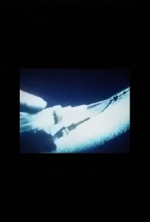 High Trailer