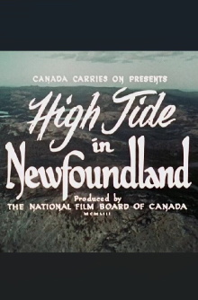 High Tide in Newfoundland Trailer