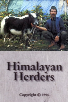 Himalayan Herders Trailer
