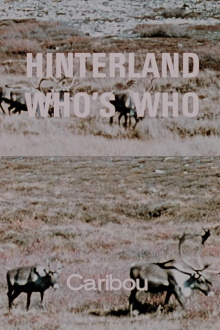 Hinterland Who's Who: Caribou Trailer
