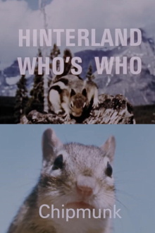 Hinterland Who's Who: Chipmunk Trailer