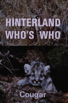 Hinterland Who's Who: Cougar Trailer