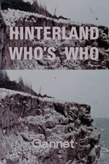 Hinterland Who's Who: Gannet Trailer