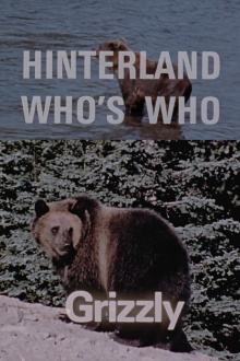 Hinterland Who's Who: Grizzly Trailer