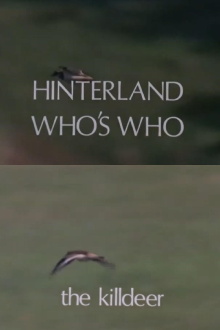 Hinterland Who's Who: Killdeer Trailer