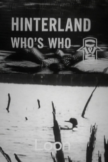 Hinterland Who's Who: Loon Trailer