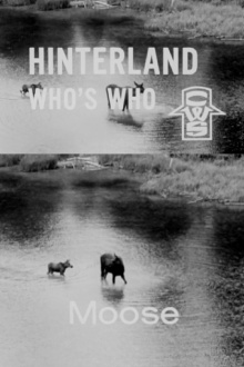 Hinterland Who's Who: Moose Trailer