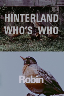 Hinterland Who's Who: Robin Trailer