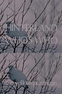 Hinterland Who's Who: The Willow Ptarmigan Trailer