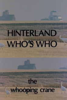 Hinterland Who's Who: Whooping Crane Trailer