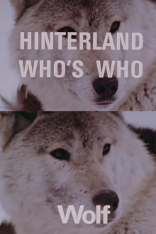 Hinterland Who's Who: Wolf Trailer