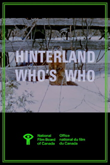 Hinterland Who's Who: Woodchuck Trailer