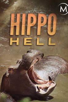 Hippo Hell Trailer