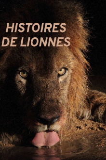 Histoires de lionnes Trailer