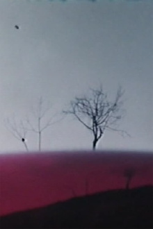Ho fatto un film a Varese 1° Trailer