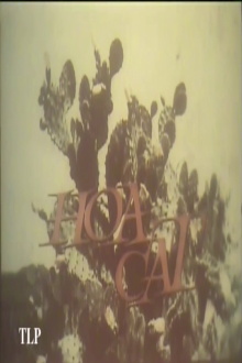 Hoa Cát Trailer