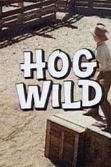 Hog Wild Trailer