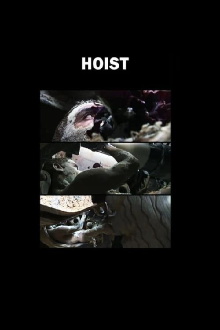 Hoist Trailer