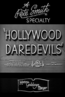 Hollywood Daredevils Trailer