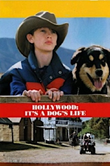 Hollywood, It's a Dog's Life Trailer