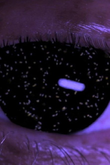Holobiont Trailer