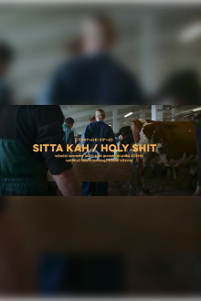 Holy Shit Trailer