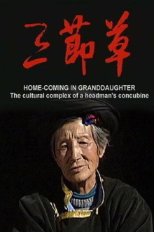 Home-Coming in Granddaughter: The Cultural Complex of a Headman's Concubine Trailer