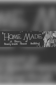 Home Made Trailer