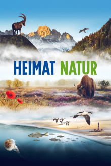 Homeland Nature Trailer