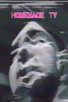 Homemade TV: Vasulkas II Trailer