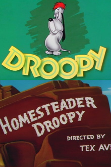 Homesteader Droopy Trailer