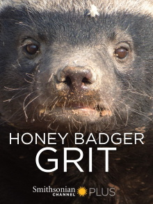 Honey Badger: Grit Trailer
