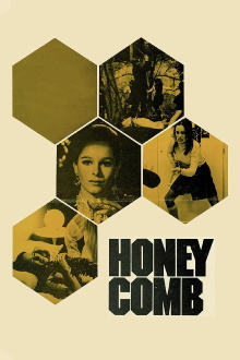 Honeycomb Trailer