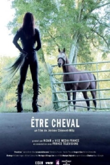 Horse Being Trailer