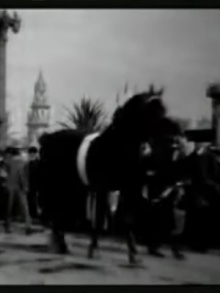 Horse Parade at the Pan-American Exposition Trailer