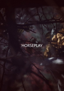 Horseplay Trailer