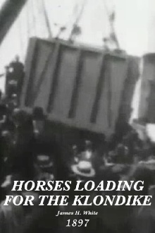 Horses loading for Klondike, no. 9 Trailer